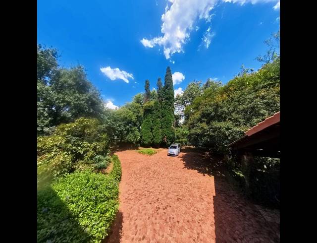 FARM FOR SALE IN GLEN AUSTIN